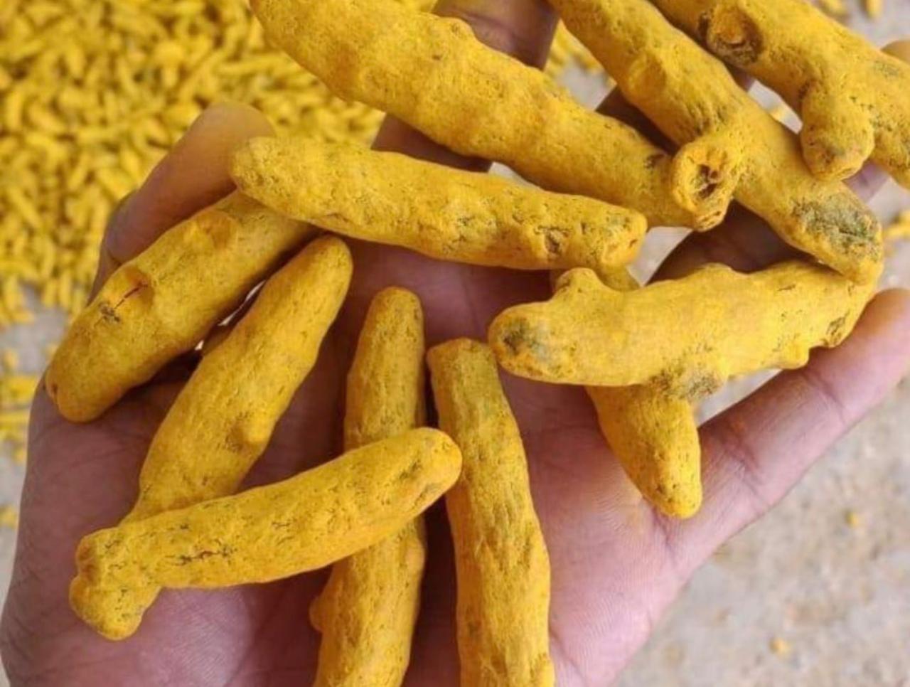 Curcuma Baton