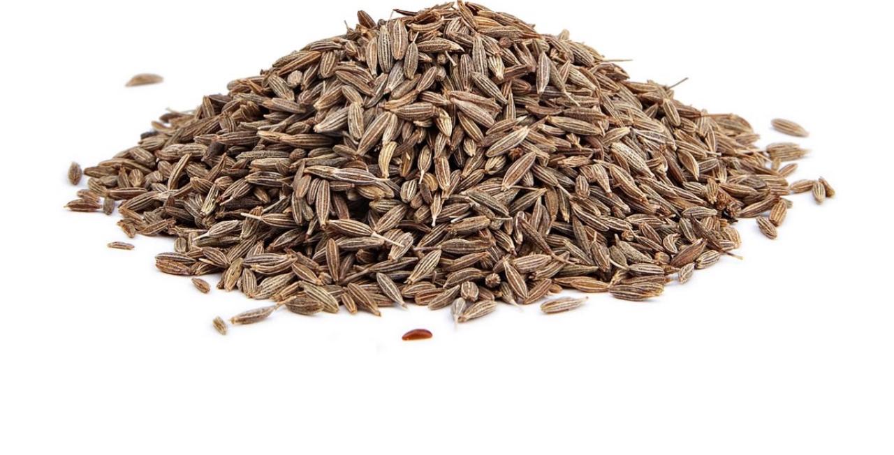Graines De Cumin — export B2B