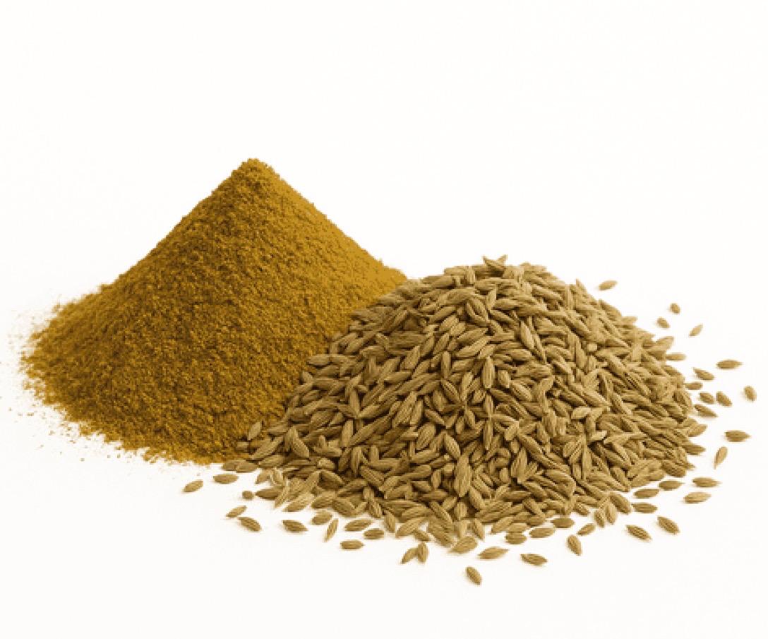 Cumin En Poudre