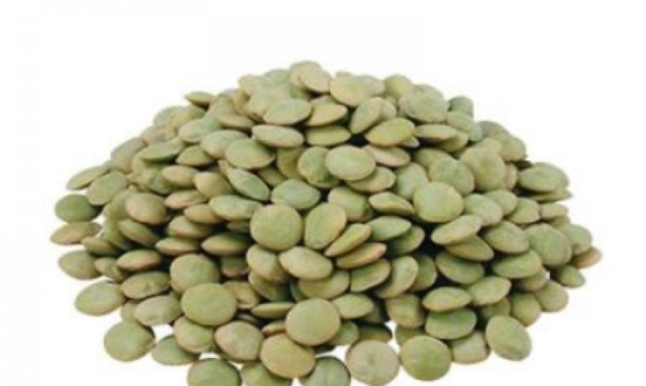Lentilles Vertes